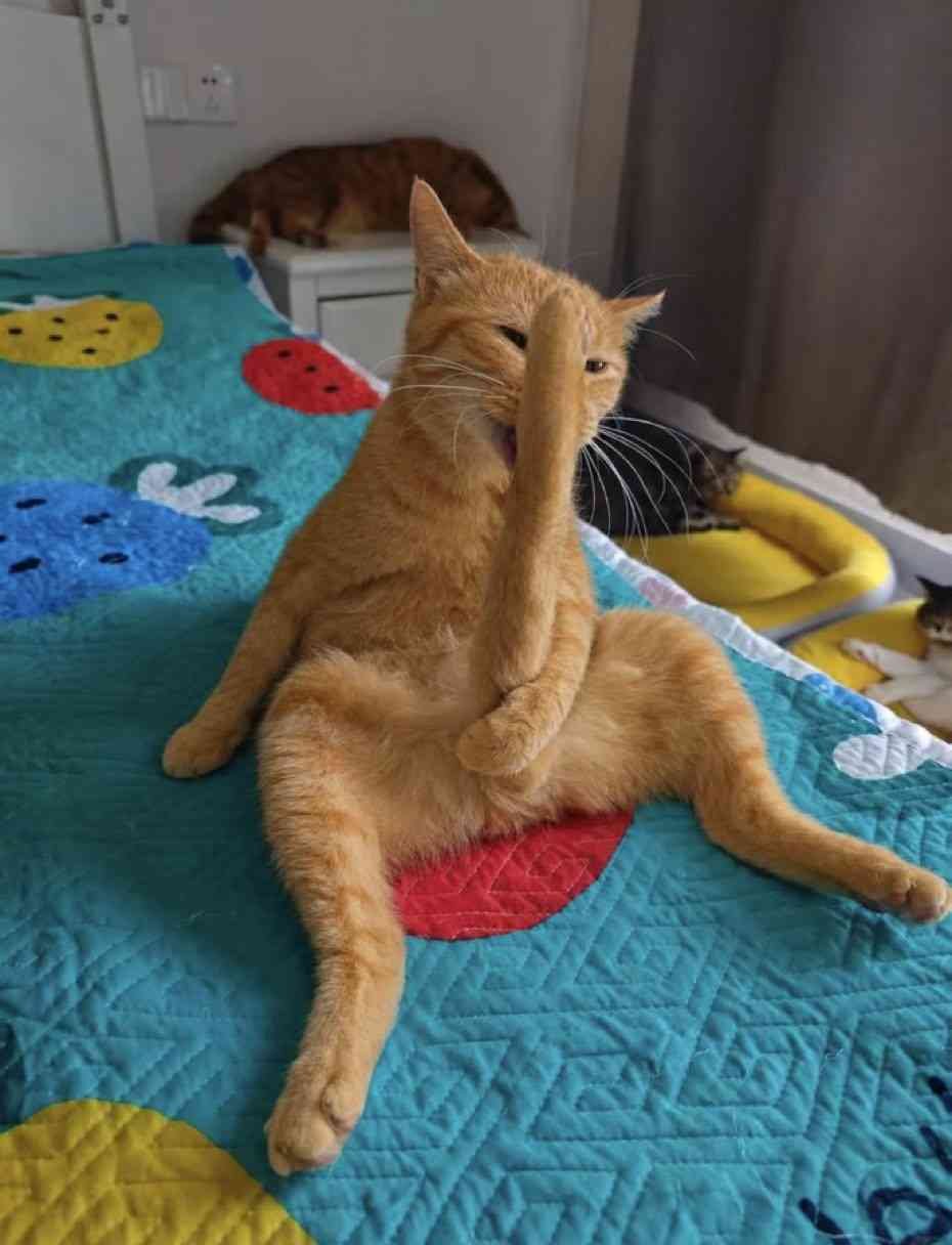 预测网